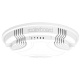 MikroTik RouterBoard cAP-2. Decke AP (RouterOS Level 4) mit UK-Netzteil