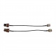 2xCable Assemblea RP TNC(M)-N(F)