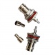 2xBNC Female Bulkhead Connectors